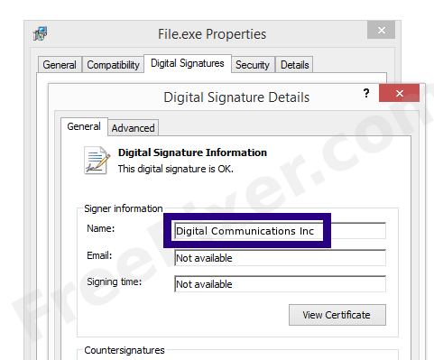 Screenshot of the Digital Communications Inc certificate